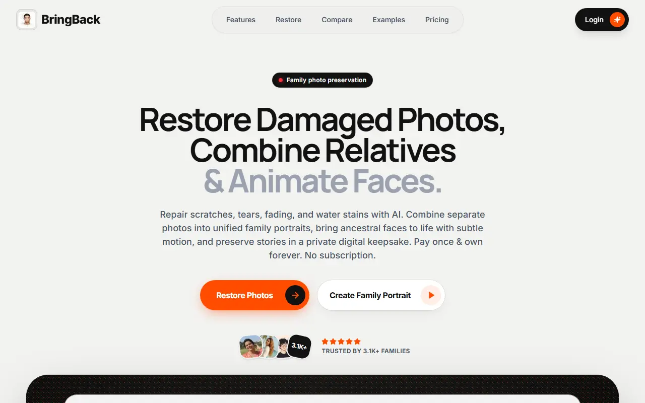 BringBack homepage screenshot