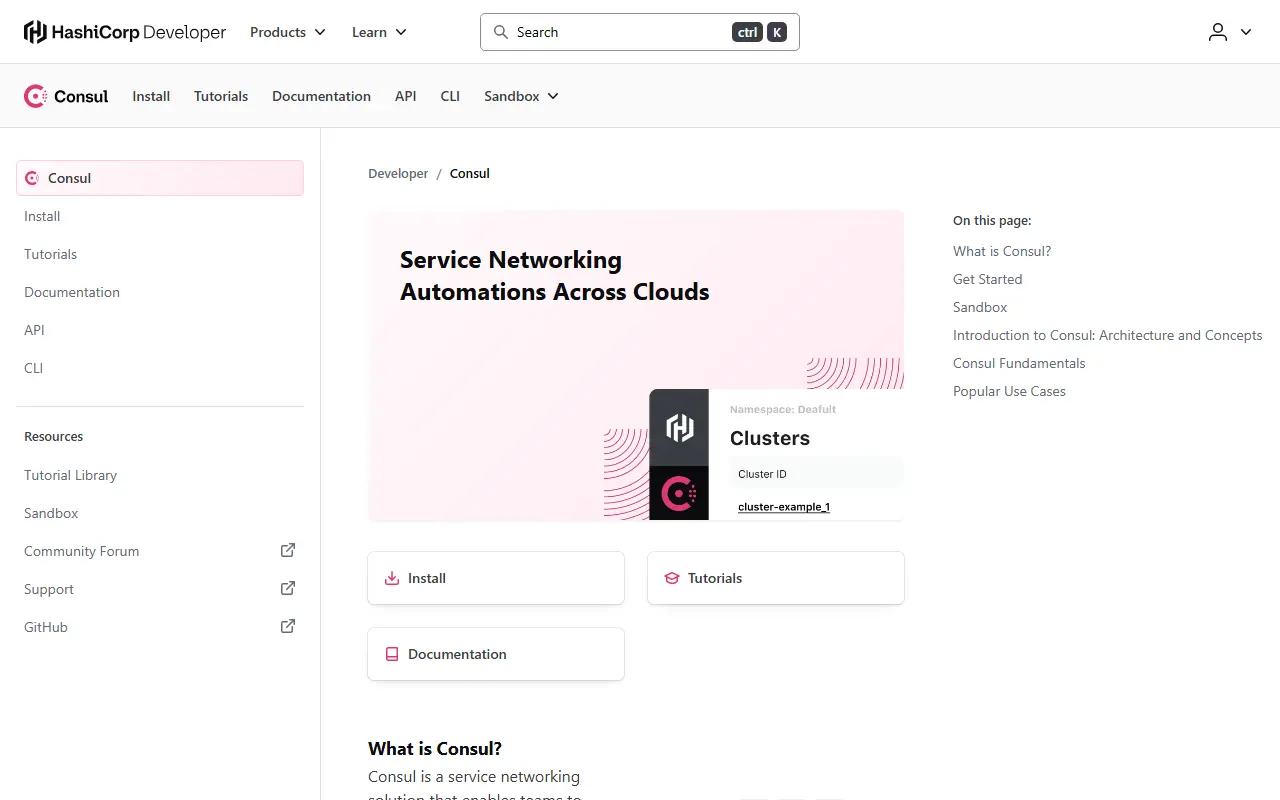Consul homepage screenshot