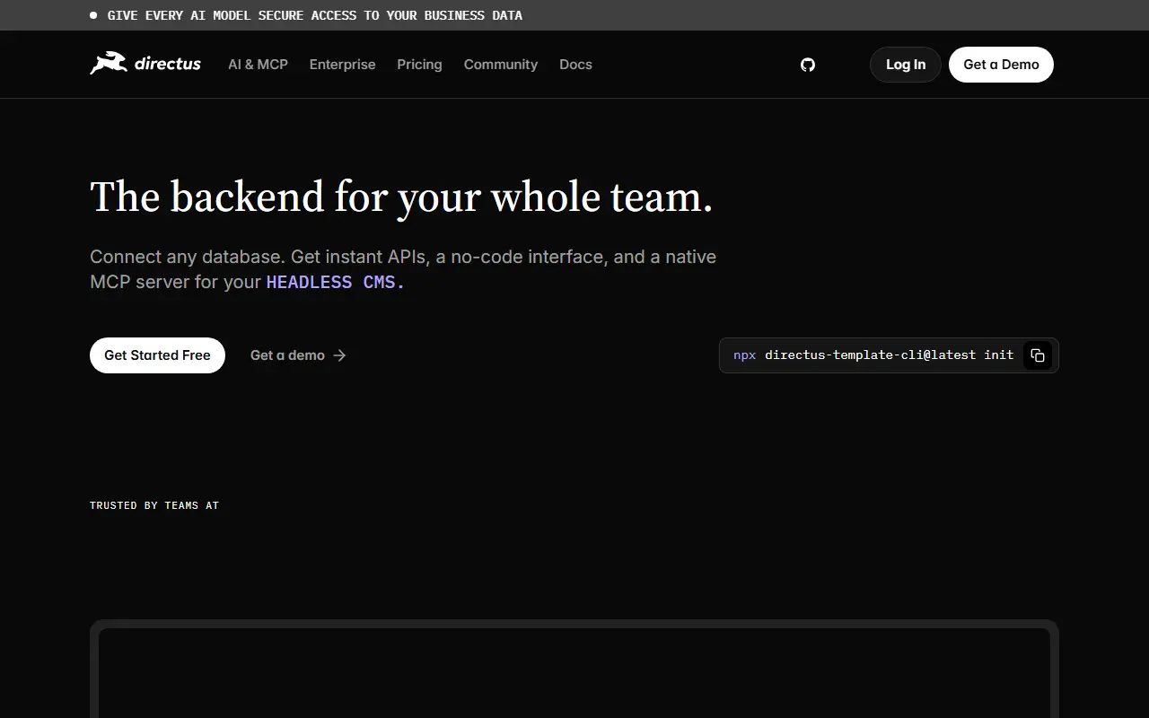 Directus homepage screenshot