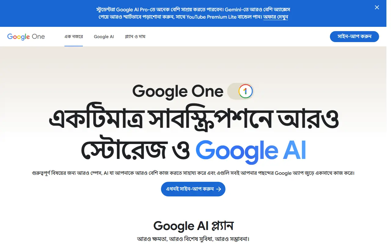 Google One homepage screenshot