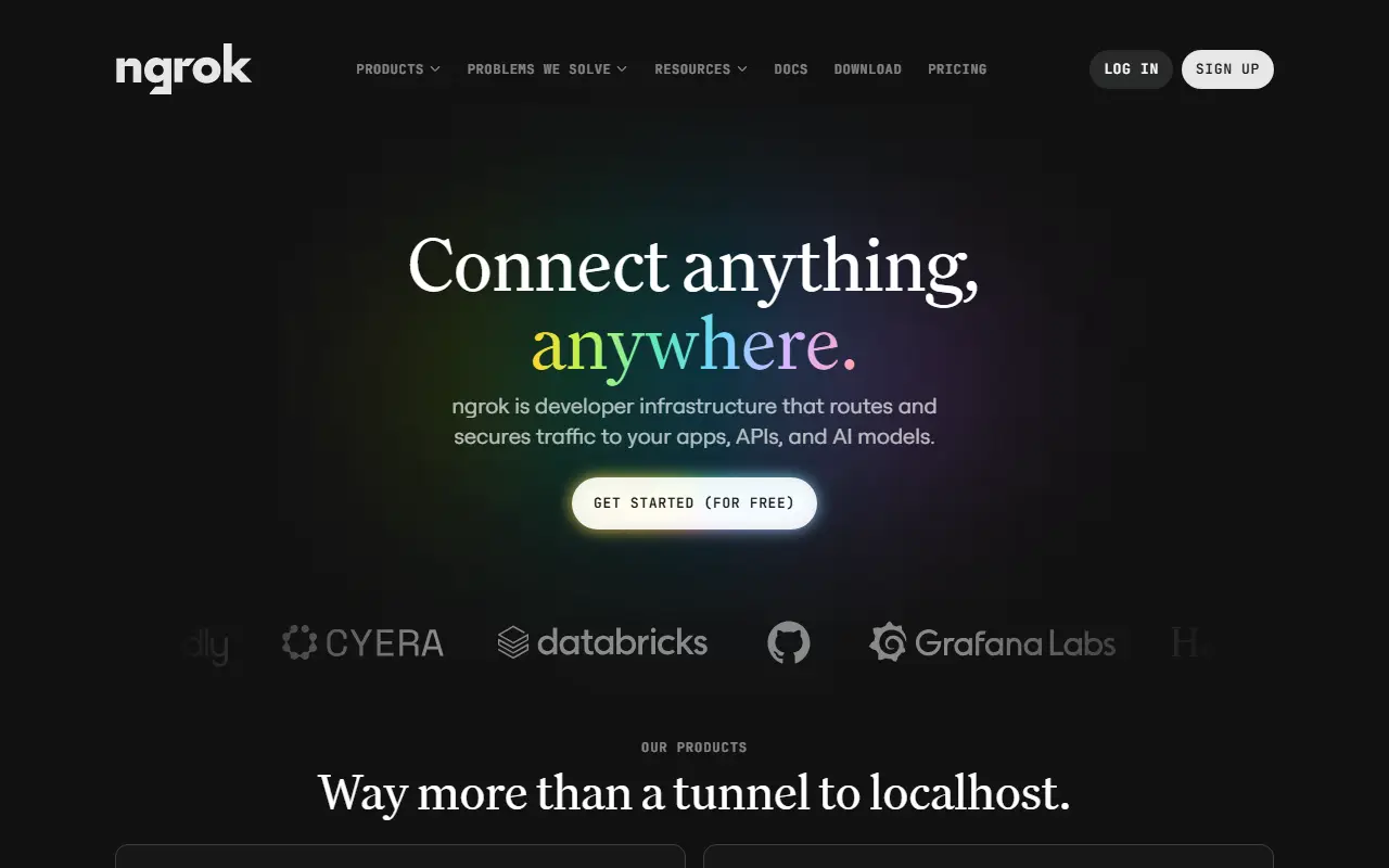 ngrok homepage screenshot