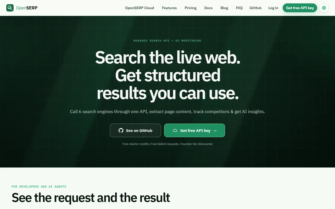 OpenSERP homepage screenshot