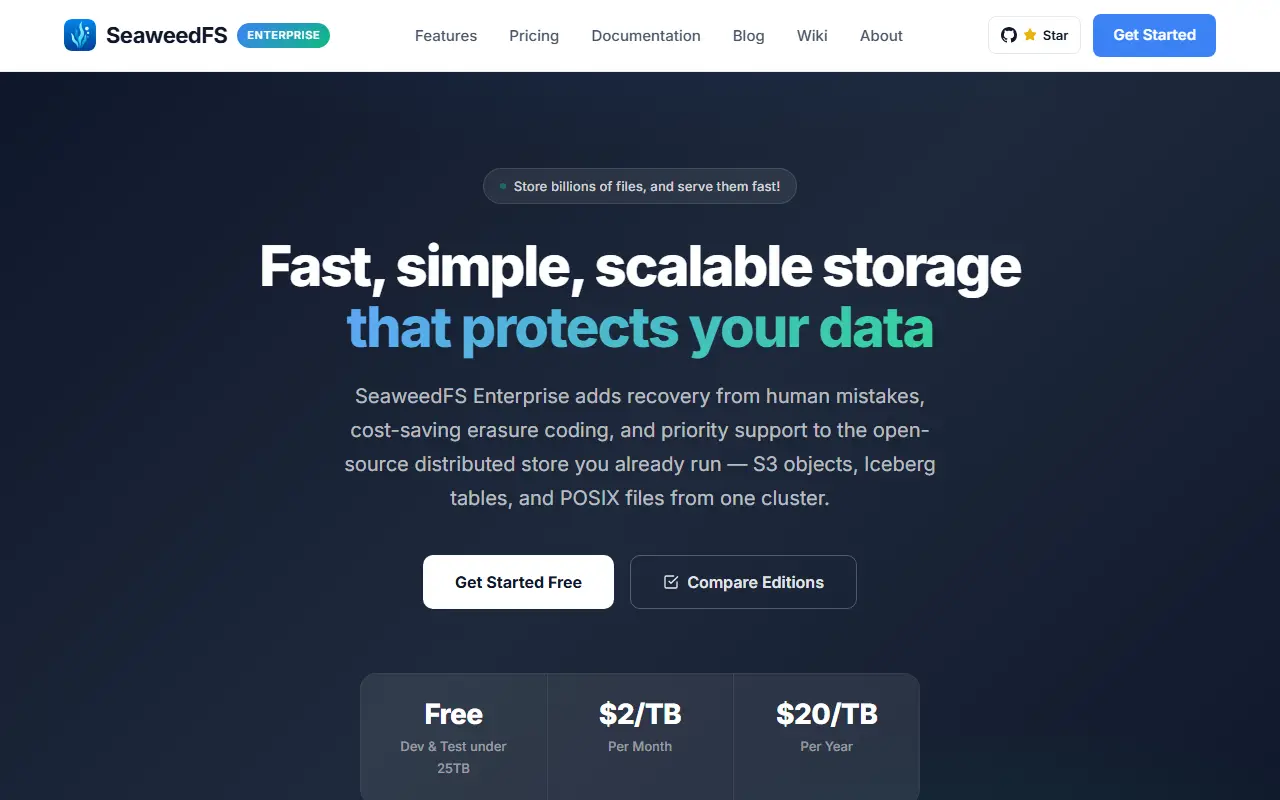 SeaweedFS homepage screenshot