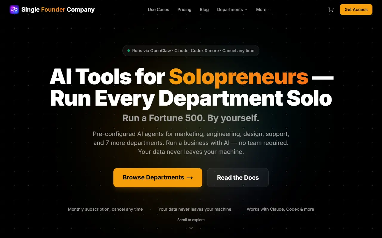 Single Founder Company homepage screenshot