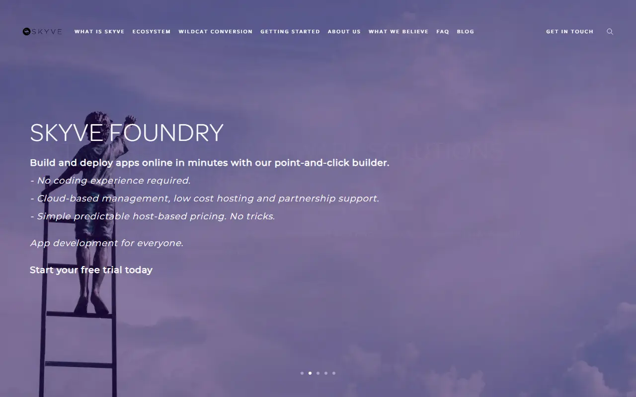 Skyve homepage screenshot